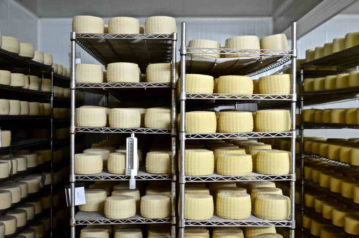 Niotiko cheese factory