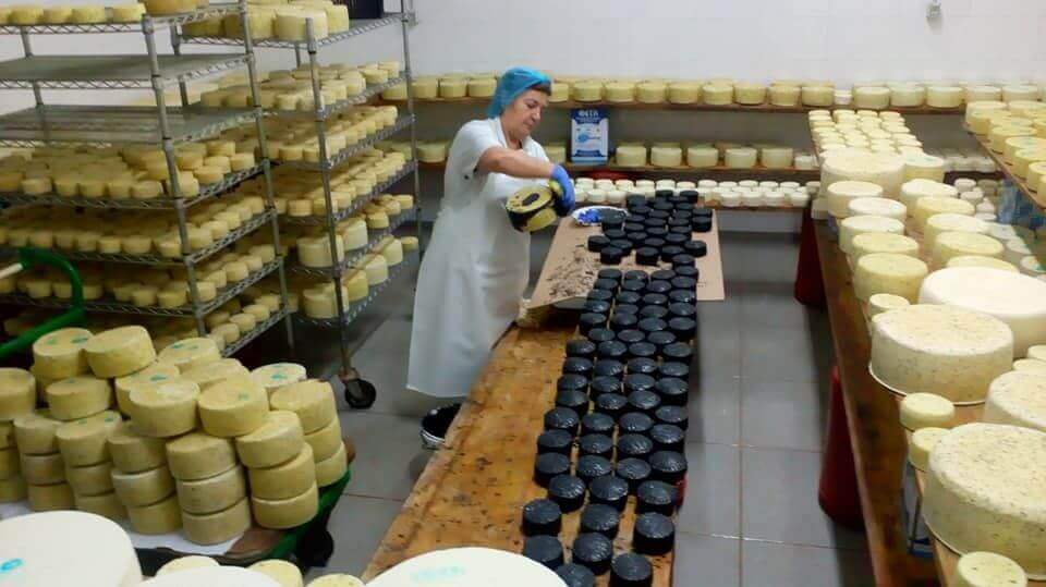 Pagonis Cheese Factory