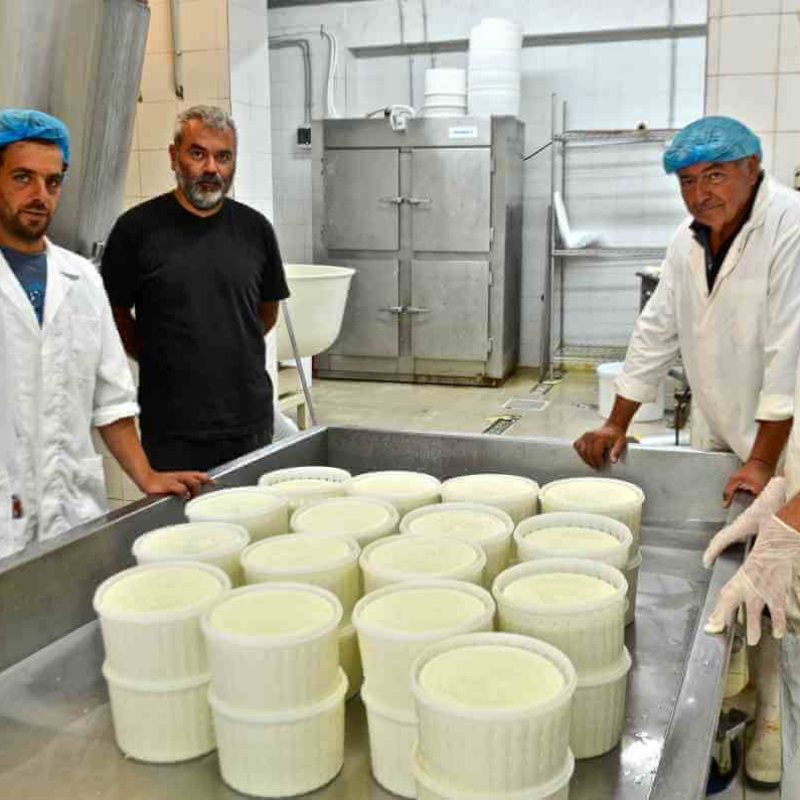 Niotiko cheese factory