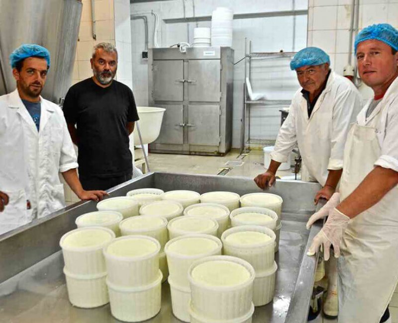 cheese factory niotiko ios